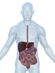 Similar image 8177299