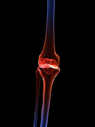 Similar image 8177314