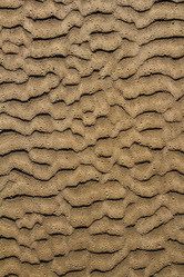 Similar image 8177319