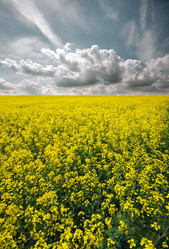 Similar image 8177320