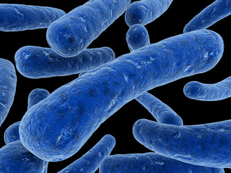 Similar image 8177328