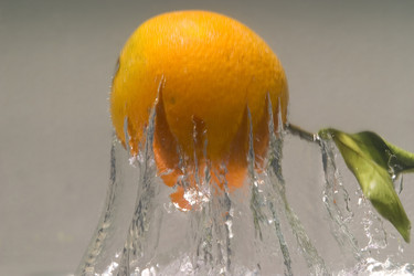 Similar image 8177329