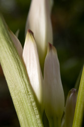 Similar image 8177330