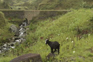 Similar image 8177347