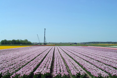 Similar image 8177381