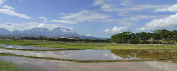 Similar image 8177383