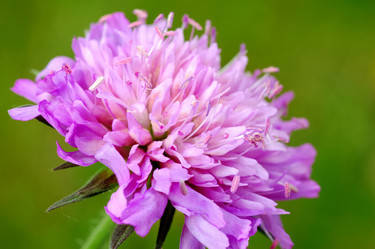 Similar image 8177413