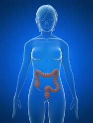 Similar image 8177417