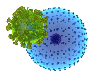 Similar image 8177421