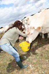 Similar image 8177425