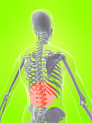 Similar image 8177439