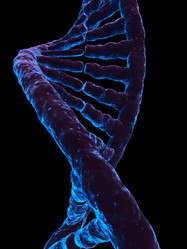 Similar image 8177469