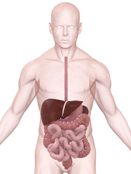 Similar image 8177490