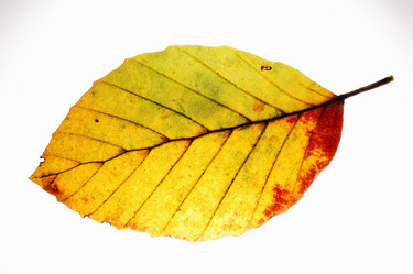 Similar image 8177502