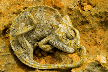 Similar image 8177507