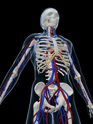 Similar image 8177537