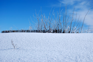 Similar image 8177577