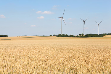 Similar image 8177649