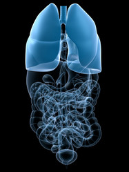 Similar image 8177652