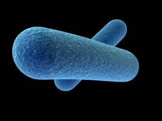 Similar image 8177684