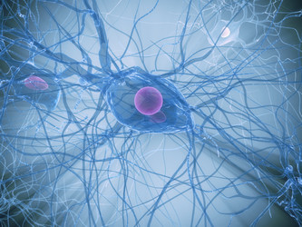 Similar image 8177705