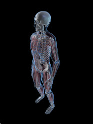 Similar image 8177712