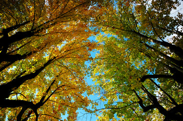 Similar image 8177717