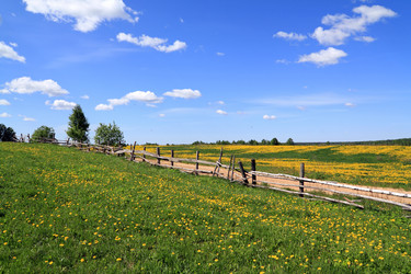 Similar image 8177731