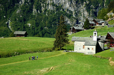 Similar image 8177742