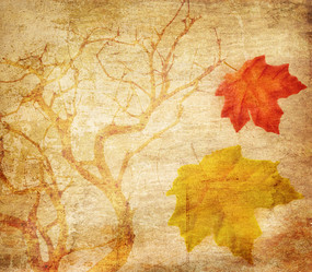 Similar image 8177782