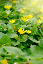 Similar image 8177783