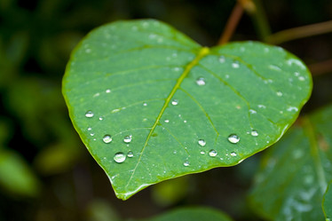 Similar image 8177800