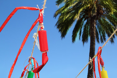 Similar image 8177866