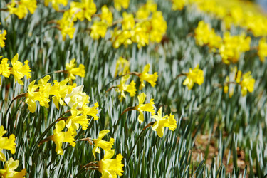 Similar image 8177877