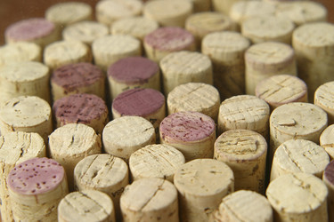 Similar image 8177890