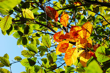 Similar image 8177897