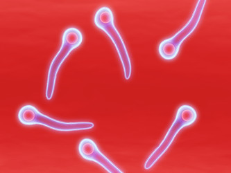 Similar image 8177941