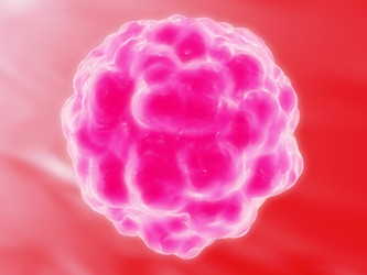 Similar image 8177953