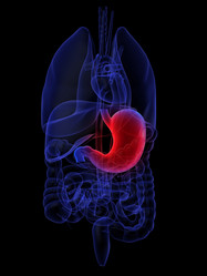 Similar image 8177966