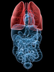 Similar image 8178012