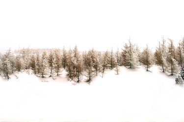 Similar image 8178032