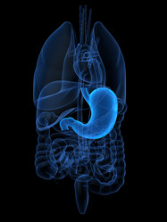 Similar image 8178040