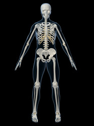 Similar image 8178057