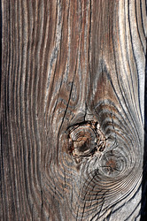 Similar image 8178082