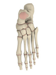 Similar image 8178096