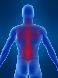 Similar image 8178123