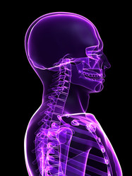 Similar image 8178136