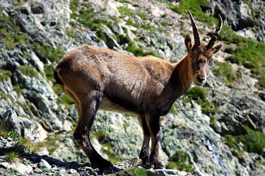 Similar image 8178141