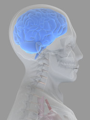 Similar image 8178176