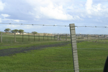 Similar image 8178187